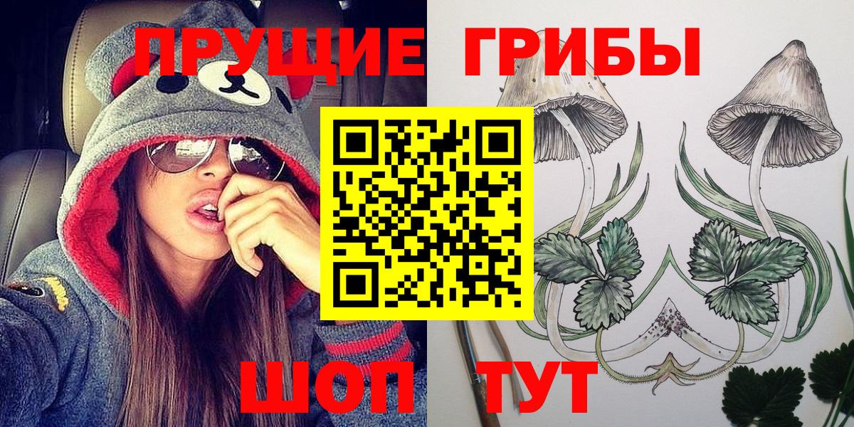 Псилоцибиновые грибы прущие грибы  Вход с VPN  Волхов 